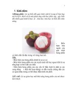 Tiểu luận môn giải phẫu sinh lý và thần kinh cấp cao Hưng phấn và ức chế