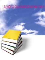 SỰ HỘI TỤ CỦA CHUỖI SỐ DƯƠNG (Tiết 1)