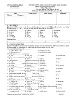 de thi vao lop 10 indos da dich