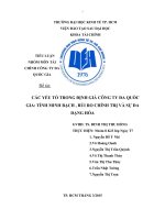CÁC YẾU TỐ TRONG ĐỊNH GIÁ CÔNG TY ĐA QUỐC GIA TÍNH MINH BẠCH , RỦI RO CHÍNH TRỊ VÀ SỰ ĐA DẠNG HÓA