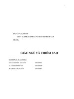 Tiểu luận môn giải phẫu sinh lý và thần kinh cấp cao GIẤC NGỦ VÀ CHIÊM BAO