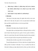 thảo luận pháp luật đai cương HÌNH PHẠT CHÍNH và HÌNH PHẠT bổ SUNG TRONG hệ THỐNG HÌNH PHẠT của PHÁP LUẬT NHÀ nước VIỆT NAM