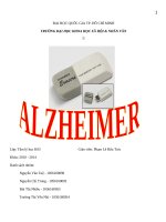 Tiểu luận môn giải phẫu sinh lý và hoạt động thần kinh cao cấp bệnh Alzheimer