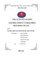 Tiểu luận môn giải phẫu sinh lý và thần kinh cấp cao SỰ KHÁC BIỆT HAI GIỚI DƯỚI GÓC NHÌN NÃO BỘ