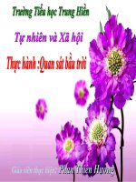 TNXH lớp 1 tuần 31