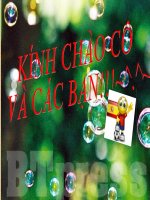 Tiểu luận môn Kiểm toán Đạo đức nghề nghiệp