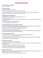 Thủ thuật Word hay