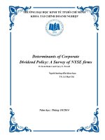 Tiểu luận môn tài chính doanh nghiệp CHÍNH SÁCH CỔ TỨC MỘT KHẢO SÁT CỦA CÁC CÔNG TY SỞ GIAO DỊCH CHỨNG KHOÁN NEW YORK