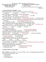 kt hoa  HKII-10 rat hay