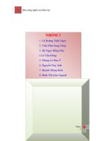 Tiểu luận môn Quy hoạch khu sản xuất đô thị Khu công nghệ cao Hòa Lạc