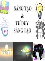 Thuyết trình môn giải phẫu sinh lý và thần kinh cấp cao tư duy sáng tạo