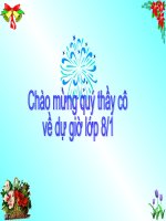 THUYẾT MINH VỀ DANH LAM THANG CANH CO TRO CHOI