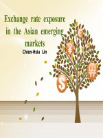 Thuyết trình môn tài chính công ty đa quốc gia TÁC ĐỘNG CỦA TỶ GIÁ ĐẾN THỊ TRƯỜNG MỚI NỔI CHÂU Á