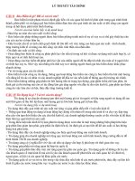 câu hỏi LÝ THUYẾT TÀI CHÍNH