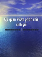 Bài thảo luận Sinh học 8
