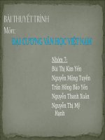 đại cương văn học việt nam