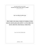 Phát hiện mycobacterium tuberculosis kháng isoniazid, rifampin và ethambutol bằng kỹ thuật real time PCR