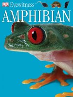 Amphibian Eyewitness