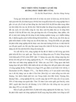 PHÁT TRIỂN NÔNG NGHIỆP CẬN ĐÔ THỊ HƯỚNG PHÁT TRIỂN BỀN VỮNG