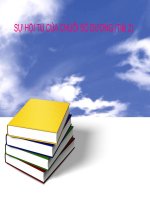 SỰ HỘI TỤ CỦA CHUỖI SỐ DƯƠNG (Tiết 2)