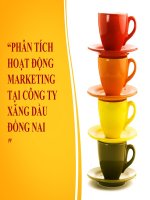 PHÂN TÍCH HOẠT ĐỘNG MARKETING TẠI CÔNG TY XĂNG DẦU ĐỒNG NAI