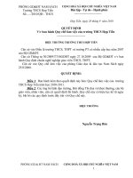 QUY CHẾ LÀM VIỆC NĂM HỌC 2010-2011