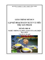 Giáo trình nghề trồng xạ đen, giảo cổ lam, diệp hạ châu mô đun  lập kế hoạch sản xuất và tiêu thụ
