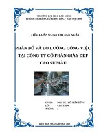 TIỂU LUẬN QUẢN TRỊ SẢN XUẤT PHÂN BỐ VÀ ĐO LƯỜNG CÔNG VIỆC TẠI CÔNG TY CỔ PHẦN GIÀY DÉP CAO SU MÀU