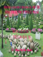 Tiết 46 Giải phóng hoàn toàn MN thống nhất đất nước ......