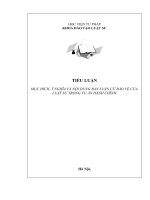 Tiểu luận Mục đích, ý nghĩa và nội dung bản luận cứ bảo vệ của luật sư