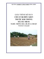 giáo trình nghề trồng bầu bí dưa chuột mô đun chuẩn bị trước khi trồng