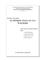Tiểu luận môn Quản trị kinh doanh quốc tế SỰ MỞ RỘNG TOÀN CẦU CỦA WALMART