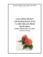 Giáo trình nghề trồng đào lê mận mô đun-Lập kế hoạch sản xuất