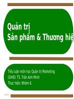 Tiểu luận môn học Quản trị Marketing Quản trị  Sản phẩm & Thương hiệu