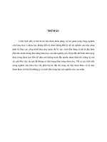 tiểu luận phương pháp nghiên cứu trích dẫn tài liệu tham khảo