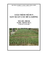 Giao trình nghề trồng dứa mop đun sản xuất cây dứa giống