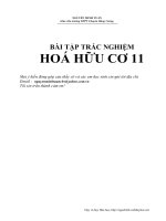 ôn tập mỹ nhân ngư
