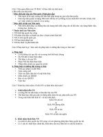 câu hỏi ôn thi pháp luật