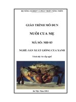 Giáo trình dạy nghề sản xuất cua xanh mô đun nuôi cua mẹ