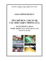 giáo trình mô đun chuẩn bị điều kiện trồng lúa