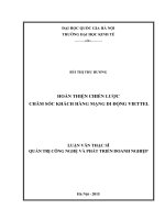 Hoàn thiện chiến lược chăm sóc khách hàng mạng di động Viettel