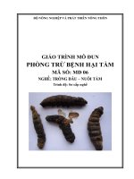 giáo trình mô đun 6 phòng trị bệnh hại tằm
