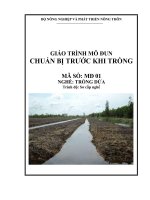 Giáo trình nghề trồng dứa mođun chuẩn bị trước khi trồng