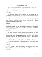 Bài tập chương 7 - môn kiểm toán