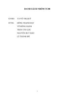 TÁC ĐỘNG CỦA TÀI CHÍNH HÀNH VI TỔ CHỨC ĐẾN CẤU TRÚC VỐN CÁC DOANH NGHIỆP NIÊM YẾT TRÊN SÀN HOSE