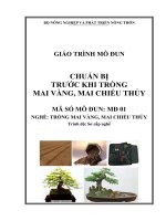 Giáo trình nghề trồng mai  vàng, mai chiếu thủy mô đun chuẩn bị trước trồng