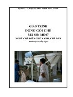 giáo trình chế biến chè xanh chè đen mô đun đóng gói chè