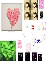 Bộ sưu tập hình động trái tim cực đẹp cho blog, web, giáo án ,,,