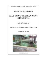 Giáo trình  nghề sản xuất cua xanh mô đun xây dựng trang trại sản xuất gióng cua