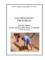 Giáo trình MĐ01 - chuẩn bị ao nuôi cá dieu hồng cá rô phi